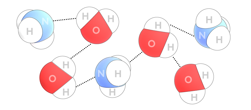 ammonia_fountain_hydrogen_bonds