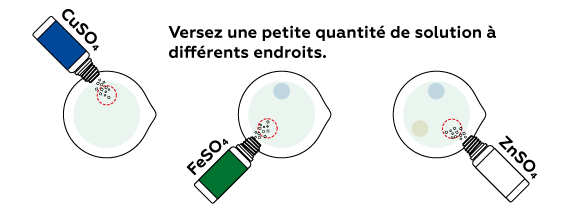 chemgardens_seaweed_iks_fr_iks_02