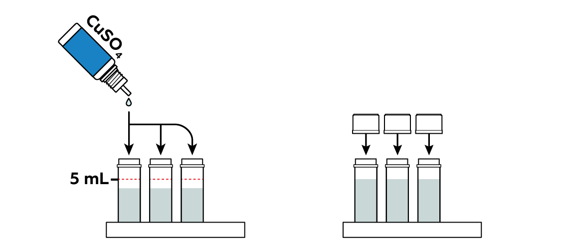 copper-v3_copper-complexes_en_iks-s-03