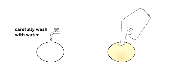 eggs_egg_shell_en_iks-03