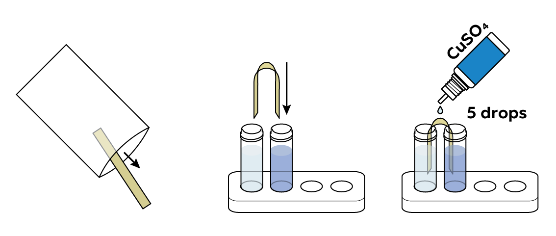 electricity-v2_daniell-cell_en_iks-s-02