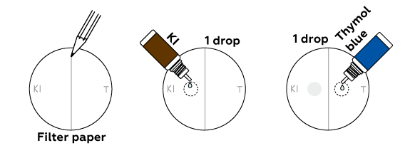 hydrogen-chlorine_chlorine_en_iks-02