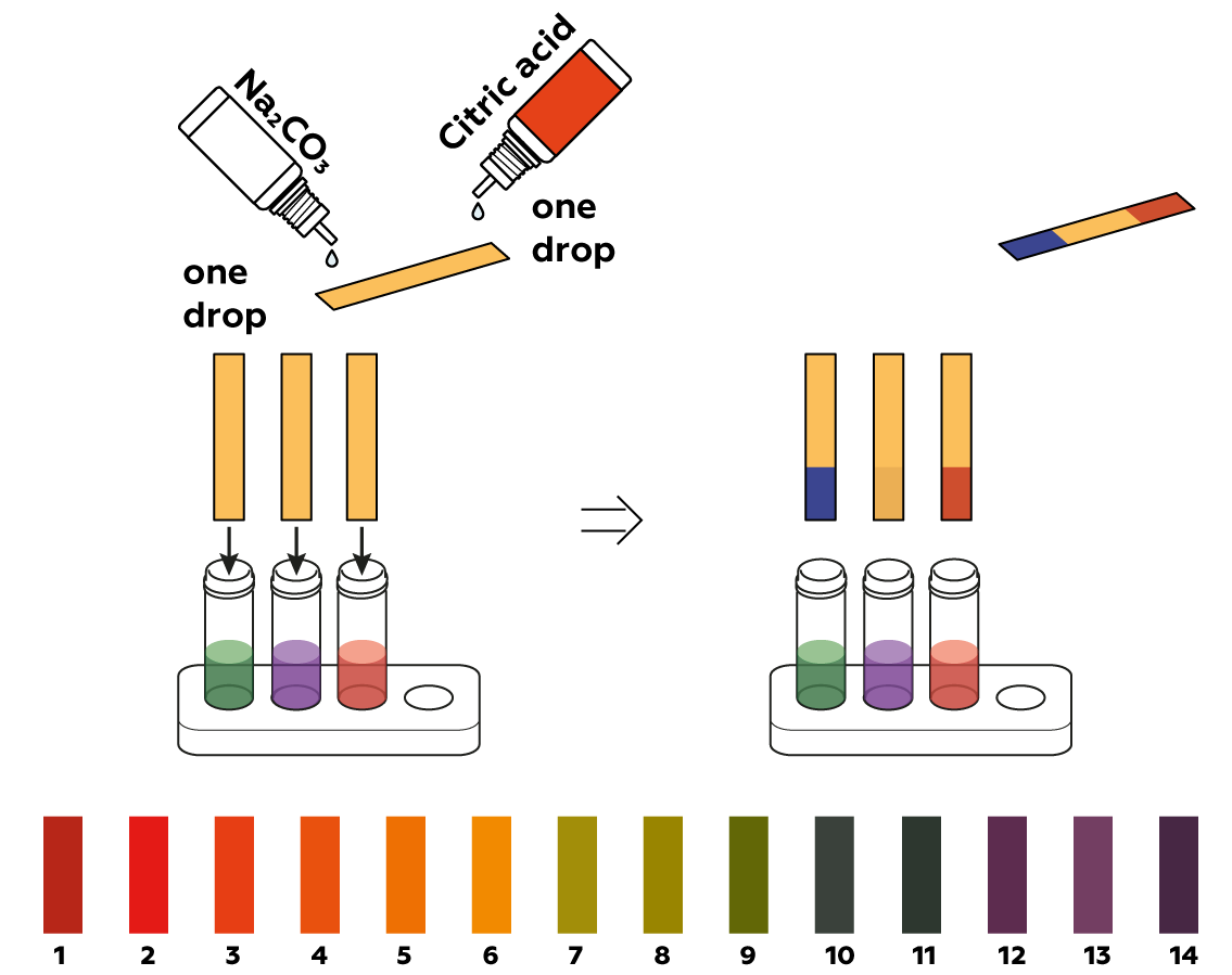 plants-v2_anthocyanin_en_iks-s-03